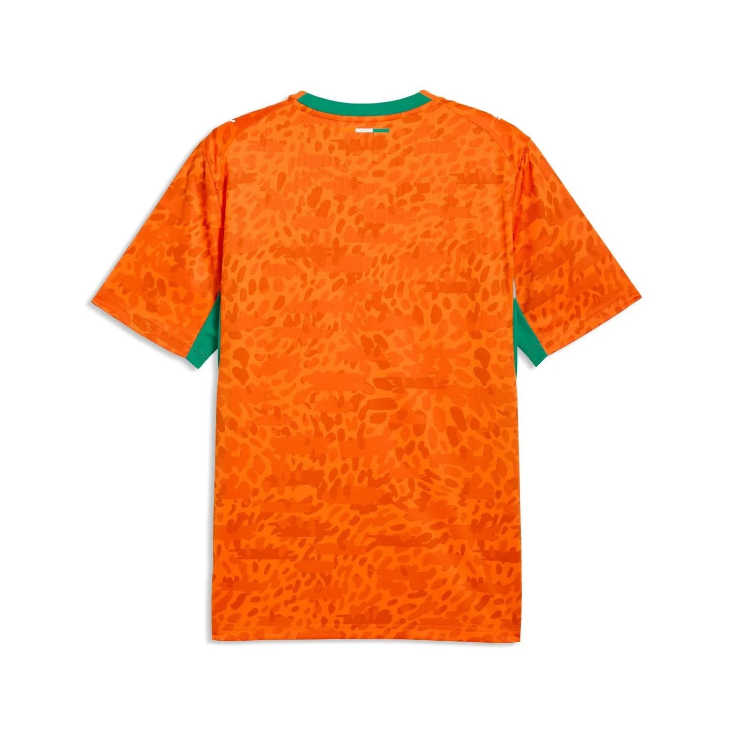 Maillot Domicile Côte d'Ivoire 2026 – Hommes
